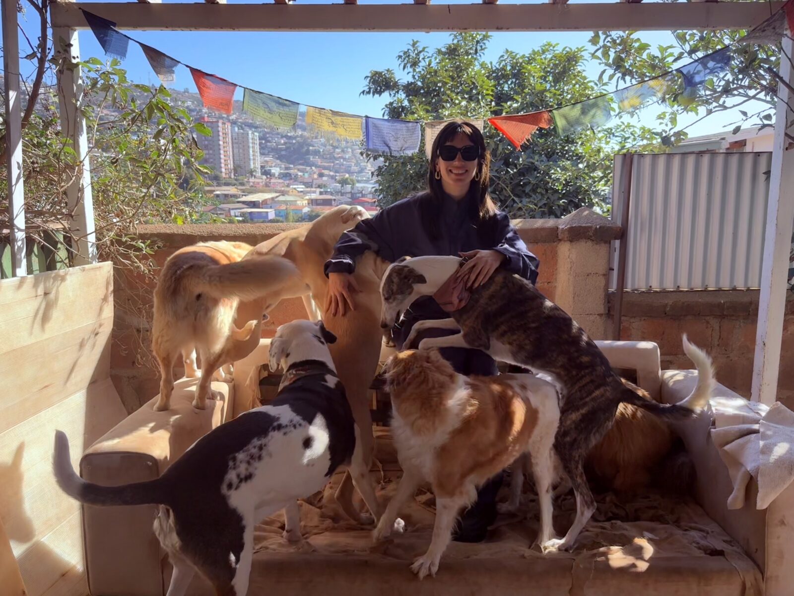 Entre el Derecho y el rescate de animales: egresada de la UV lidera la Fundación ManadaKan