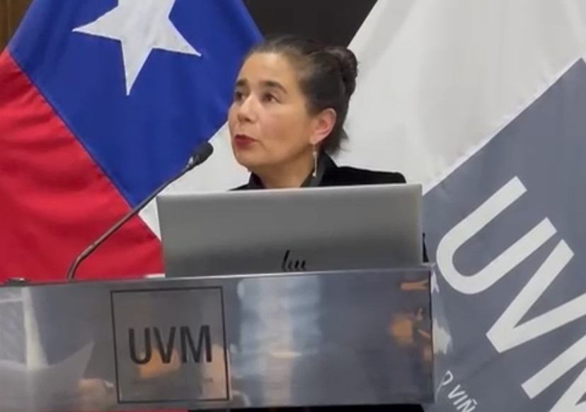 Profesora Rommy Álvarez participa en seminario “Adopción en Chile: Avances, tensiones y desafíos de la nueva ley”